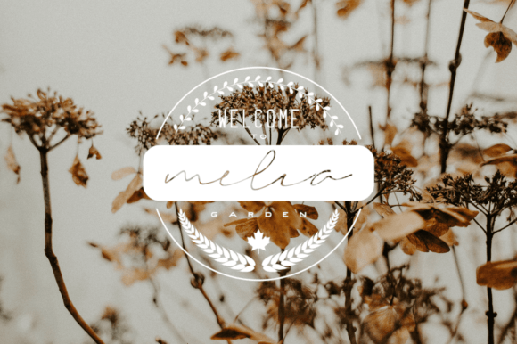 Amelya Font - Preview 4