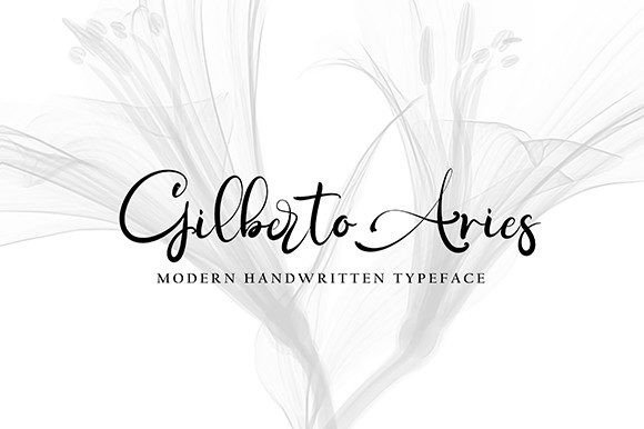 Amerta Font - Preview 4