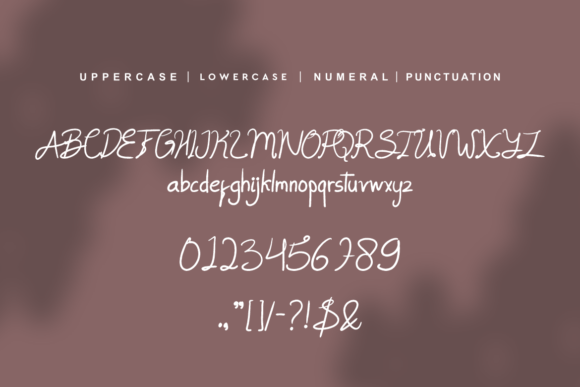 Anissa Sabrina Font - Preview 3