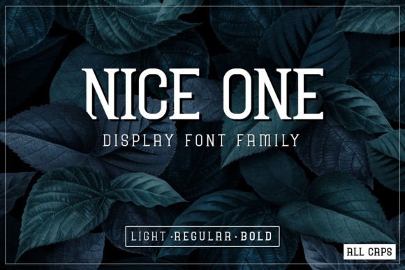 Nice One Display Font By Mightyfire