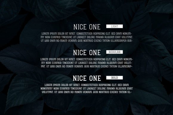Nice One Font PNG with transparent background - Preview 1