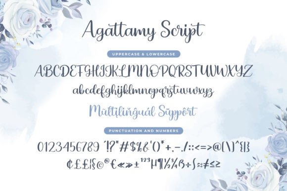 Agattamy Script Font - Preview 3