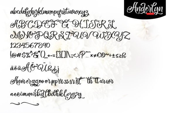 Anderlyn Font - Preview 4