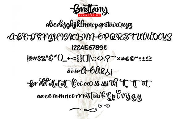 Brettany Font - Preview 4