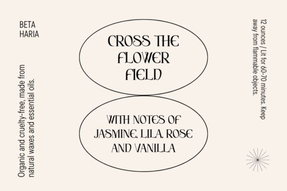 Chaleum Font - Preview 5