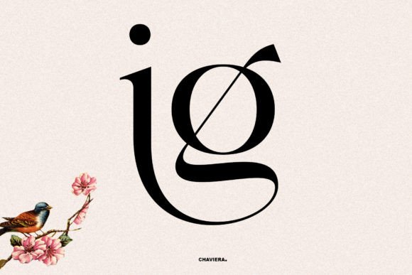 Chaviera Font - Preview 5