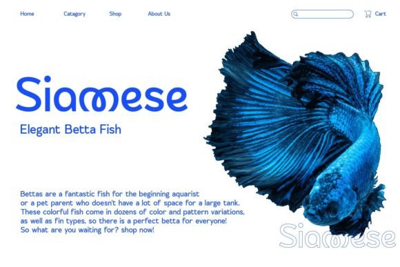Flowkey Font PNG with transparent background - Preview 5