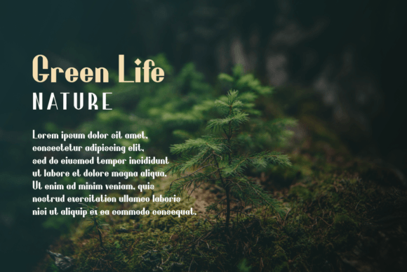 Jurifa Font PNG with transparent background - Preview 1