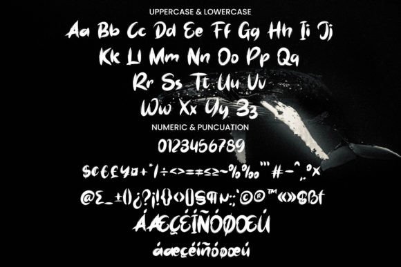 Hello Brush Font - Preview 5