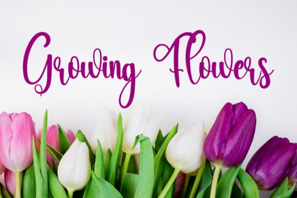 Mayday Font PNG with transparent background - Preview 2
