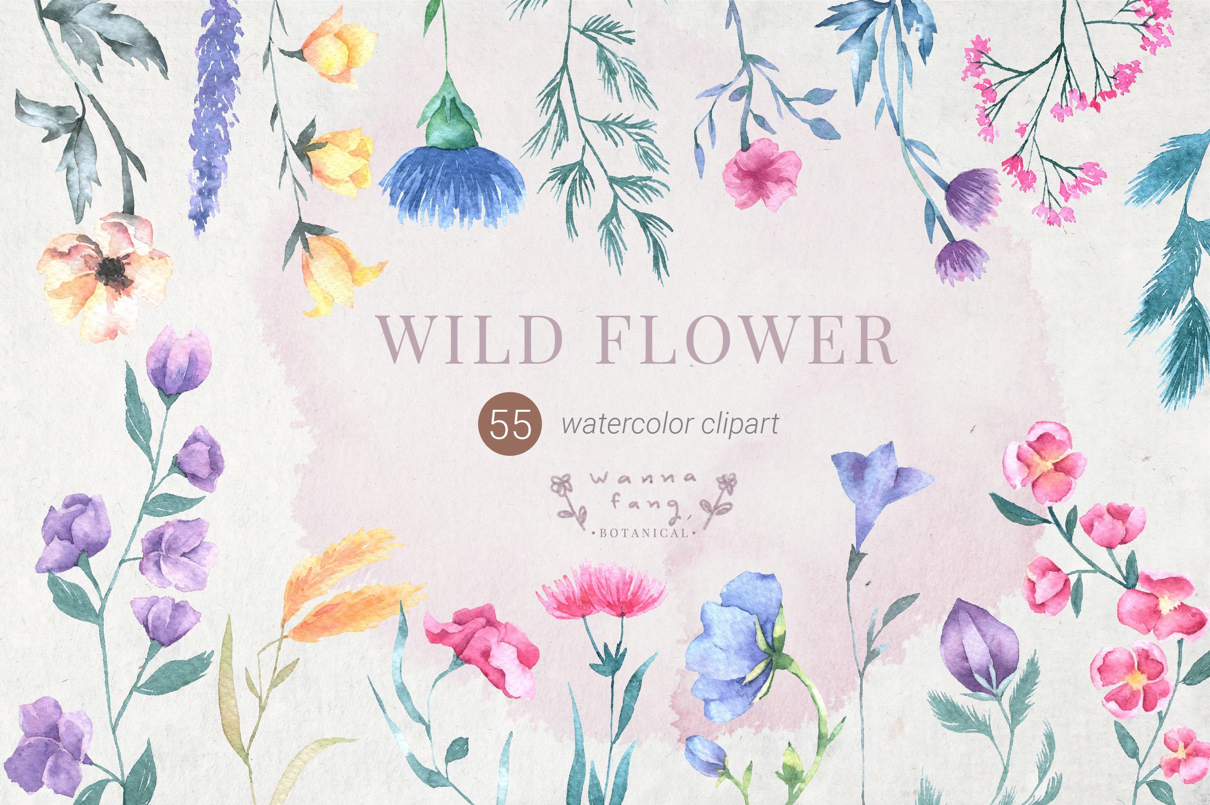 Wildflower Watercolor Clipart, PNG