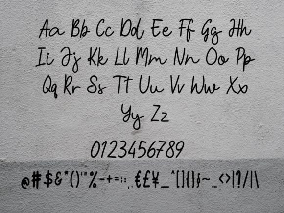 Altidore Font - Preview 4