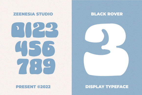 Black Rover Font - Preview 3