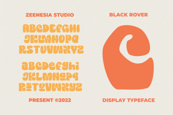 Black Rover Font - Preview 2