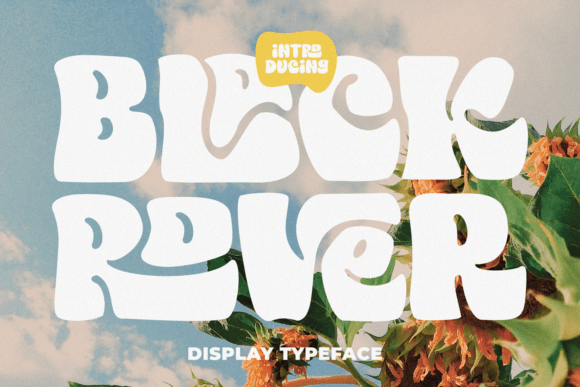 Black Rover Font - Preview 5