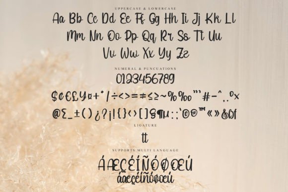 Choice Font - Preview 5