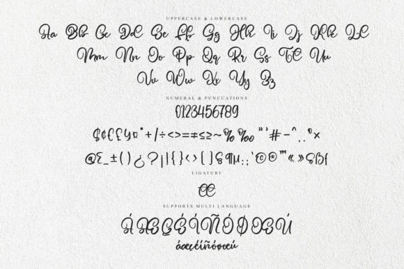 Holding Font - Preview 6