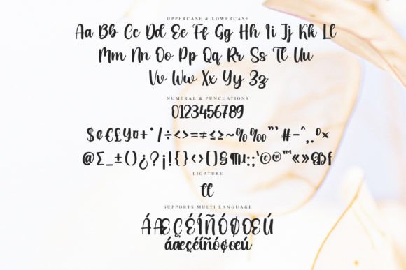 Insignia Font PNG with transparent background - Preview 6