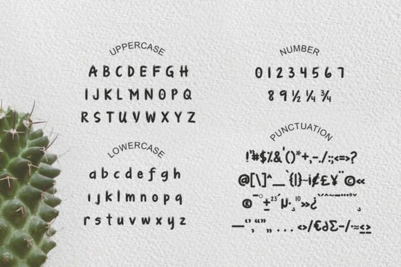 Cactus Garden Font - Preview 4