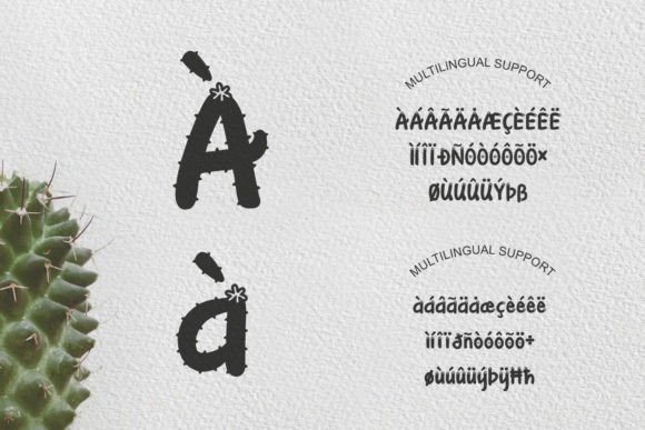 Cactus Garden Font - Preview 5