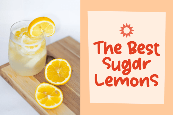 Peachy Honey Font PNG with transparent background - Preview 1