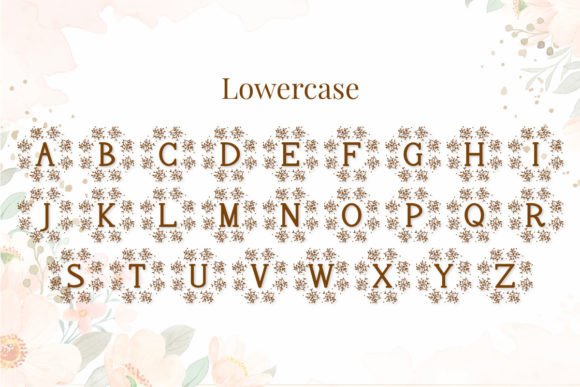 Asoka Font - Preview 1