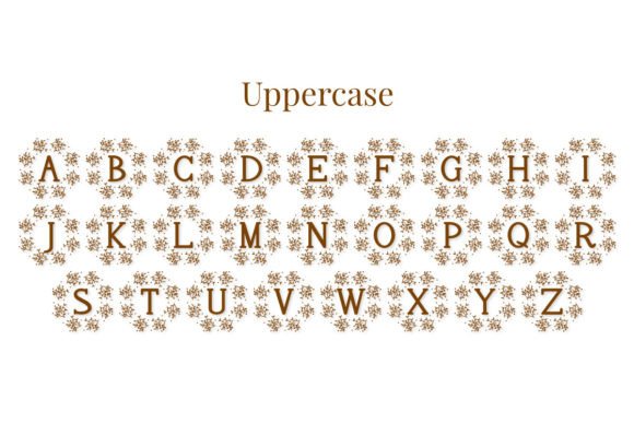 Asoka Font - Preview 2