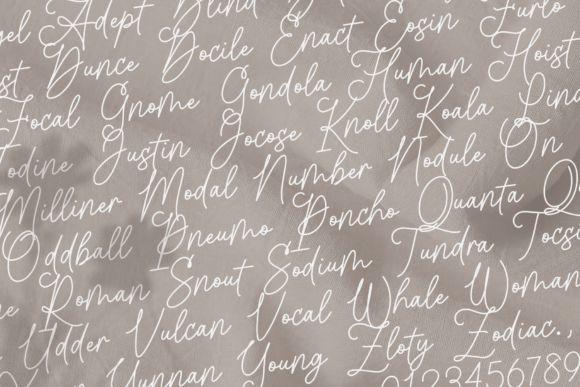 Astutely Font - Preview 2