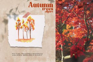 Autumn Trees Clipart Graphic by HappyWatercolorShop · Creative Fabrica