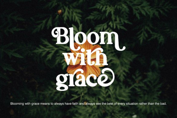 Murray Vintage Font PNG with transparent background - Preview 3