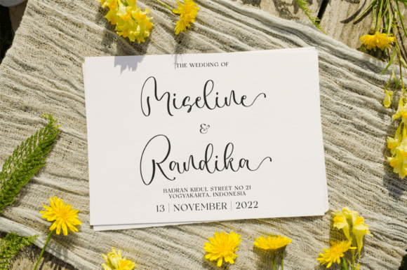Fanelissa Font - Preview 2