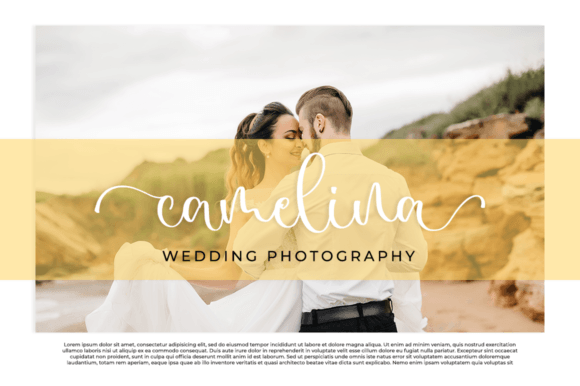 Fanelissa Font - Preview 3