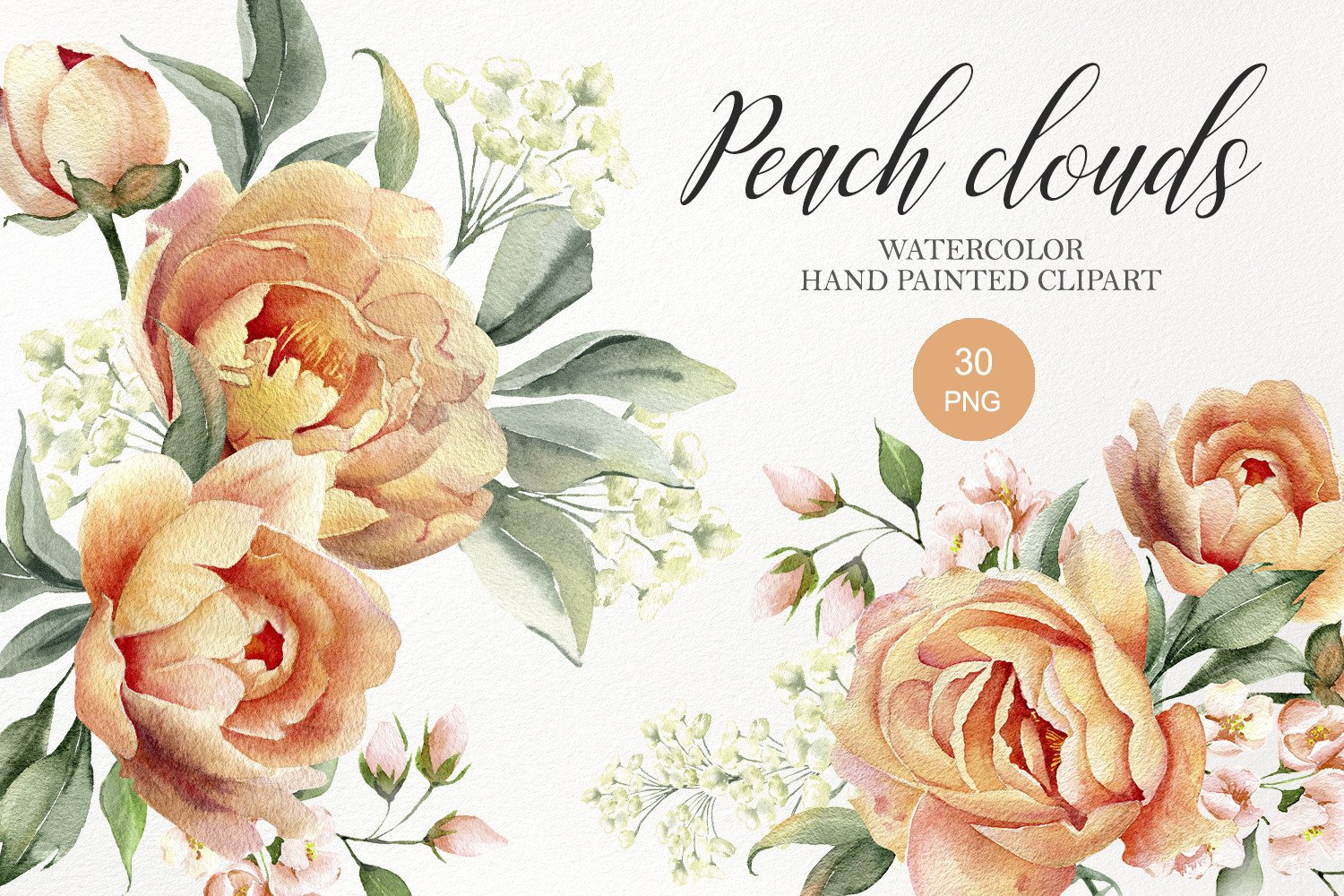 Watercolor Peach Peony Flower Clipart Graphic by WatercolorGardens ...