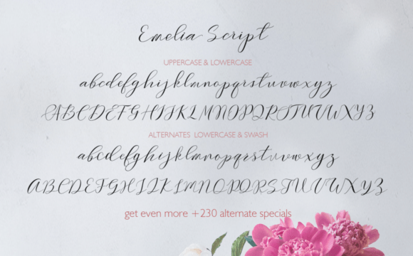Emelia Font - Preview 4