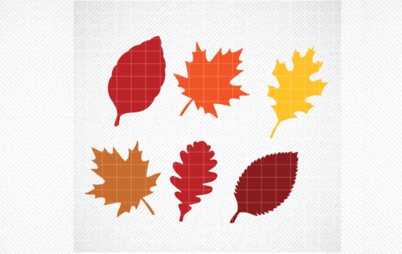 Fall Leaves Svg, Fall Svg, Fall Leaf Svg