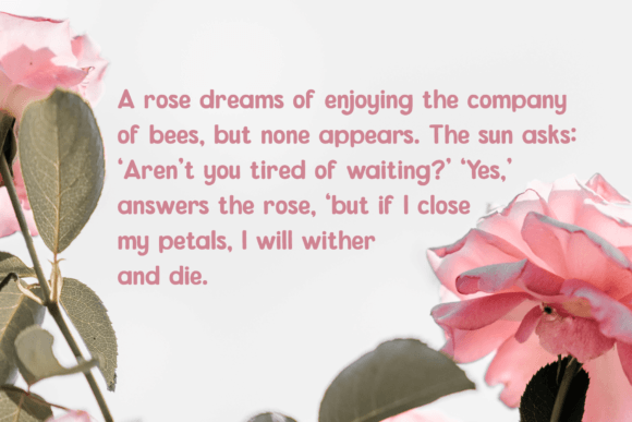 Nuzera Font PNG with transparent background - Preview 3