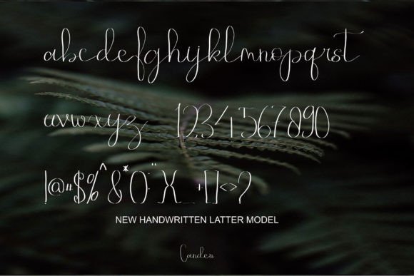 Aldenia Adnan Font - Preview 5