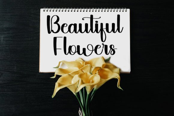 Babylone Font - Preview 6