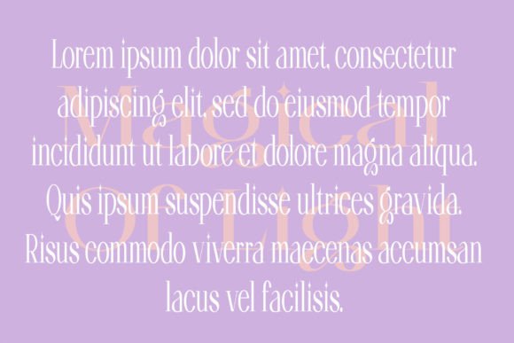 Florin Goose Font - Preview 1