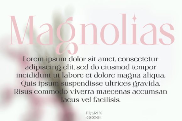 Florin Goose Font - Preview 4