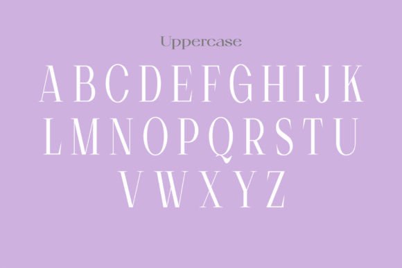 Florin Goose Font - Preview 5