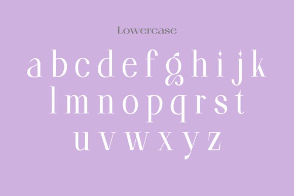 Florin Goose Font - Preview 6