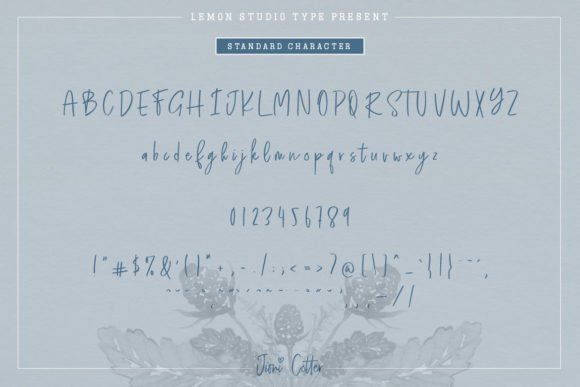 Jioni Cotter Font - Preview 5