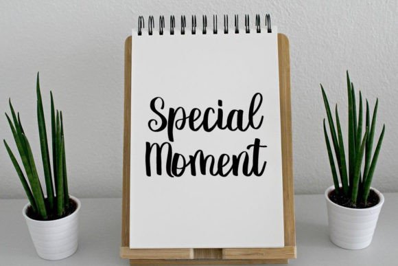 Agatha Font - Preview 3