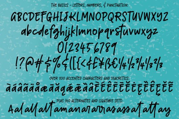 Boisterous Font - Preview 1