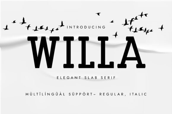 Willa Font by Minimalistartstudio · Creative Fabrica font preview