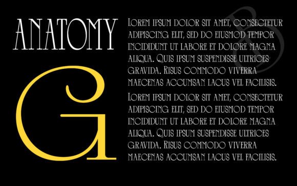 Belgian Romantic Font - Preview 1