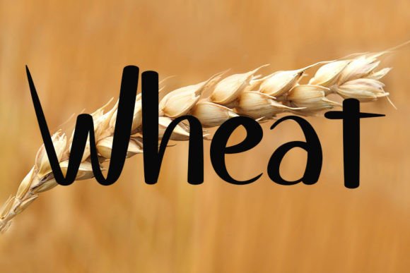 Bread Food Font PNG with transparent background - Preview 1