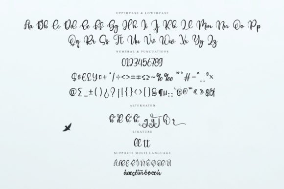 Brunch Font - Preview 6