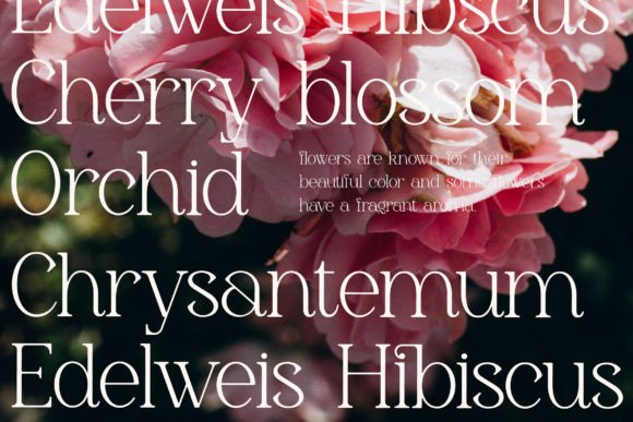 Gerlick Font - Preview 2